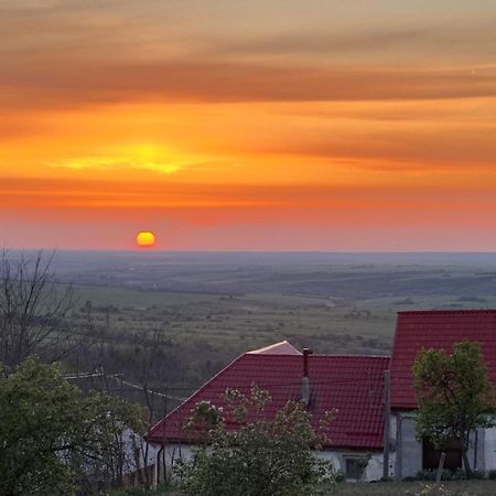 Casa De Vacanta Potoc Esterno foto