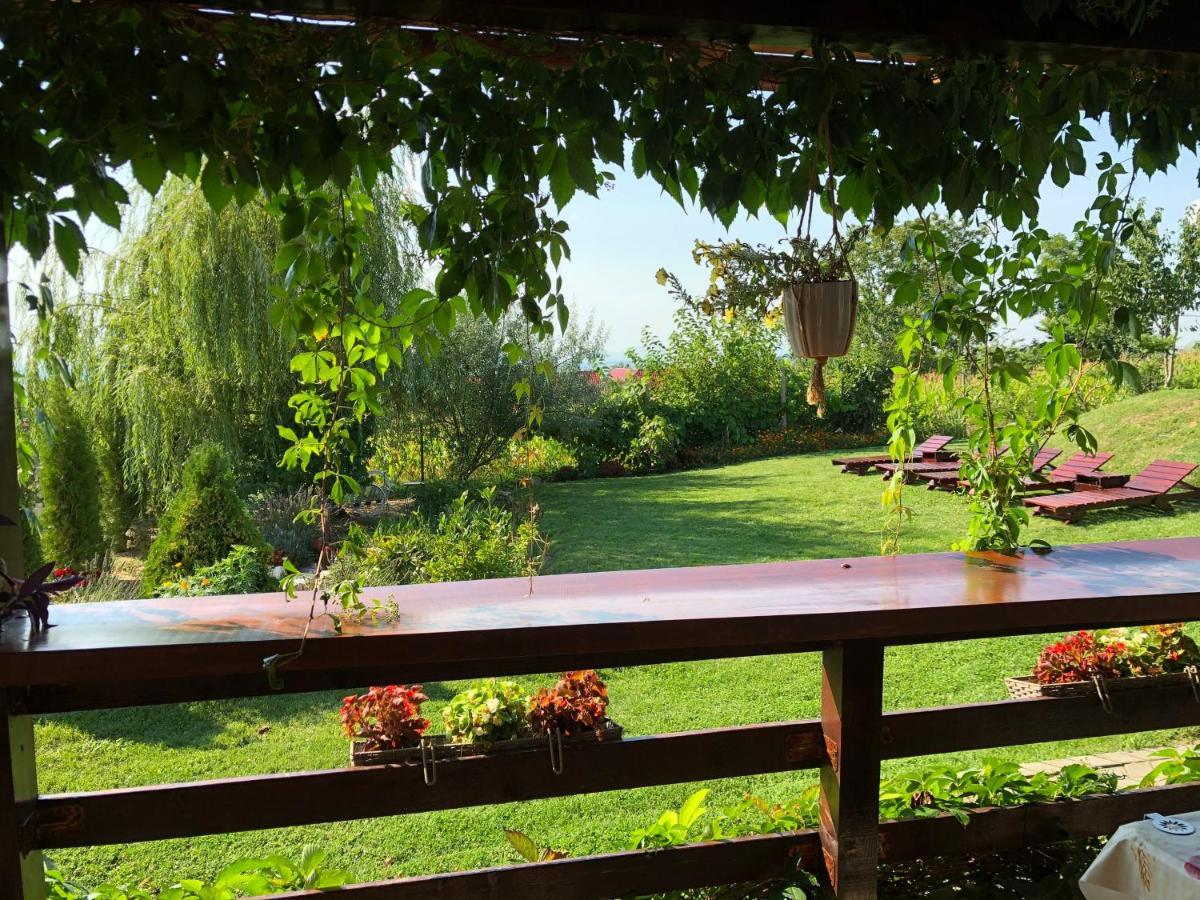 Casa De Vacanta Potoc Esterno foto