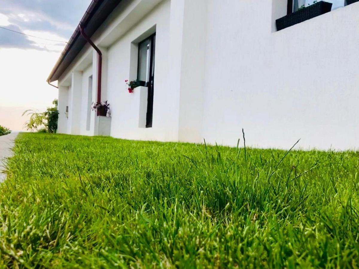 Casa De Vacanta Potoc Esterno foto