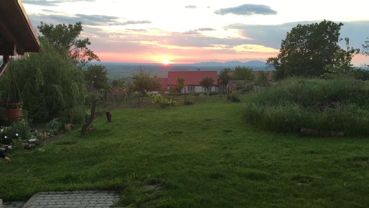 Casa De Vacanta Potoc Esterno foto